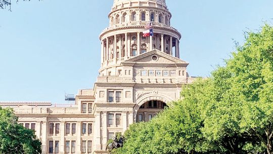 Abbott launches Elgin finances probe