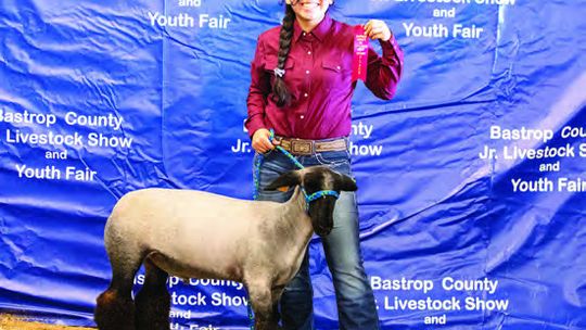 Champion Elgin exhibitors crowned