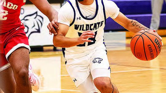 Elgin basketball teams fall to Eagles