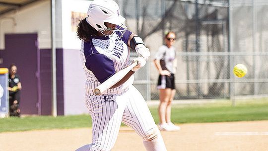 Elgin softball secures seven all-district spots