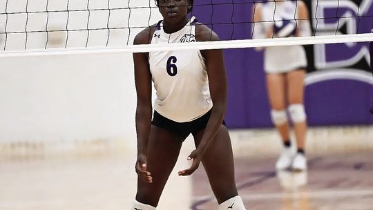 Elgin volleyball outpowered by Pflugerville