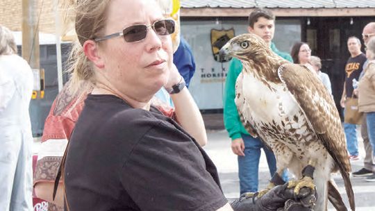 Hogeye Festival brings community together for 39th year