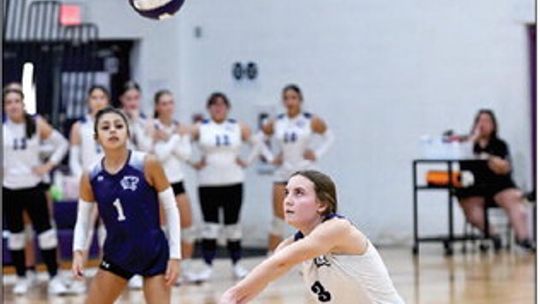 Lady Cats pick up third straight blowout