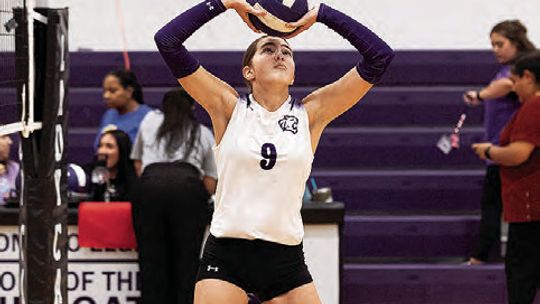 Lady Cats release 2026 volleyball schedule