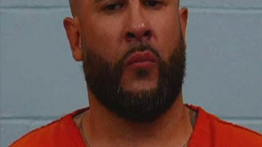 Man sought in fires that destroyed home, killed 8 dogs