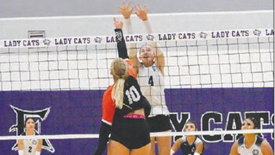 Offseason work paying off for Elgin volleyball