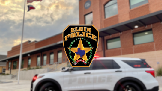Police call for information in animal cruelty case