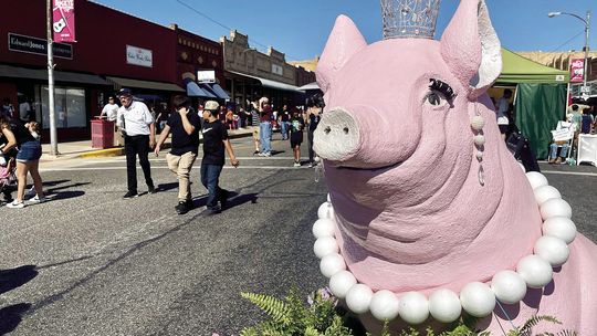 Pork pride inbound