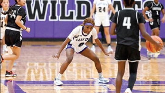 Wildcat basketball season preview