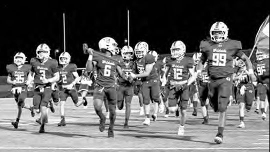 Wildcats see 19 named all-district