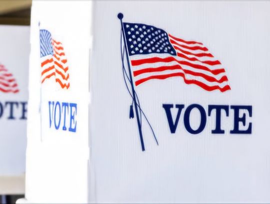 2026 primary election