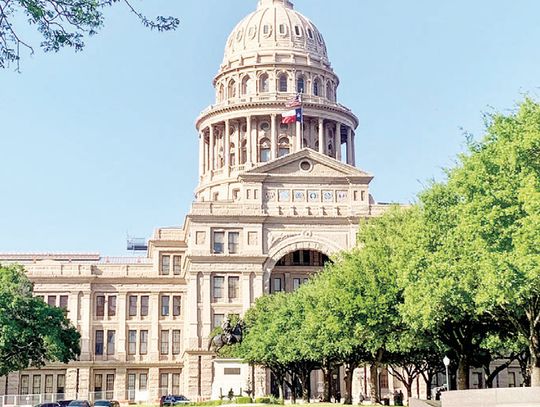 Abbott launches Elgin finances probe