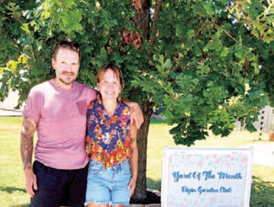 August’s Yard of the Month