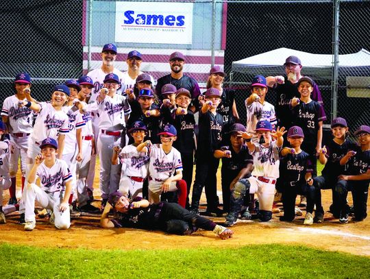 Bastrop little league shines at sectional tournament