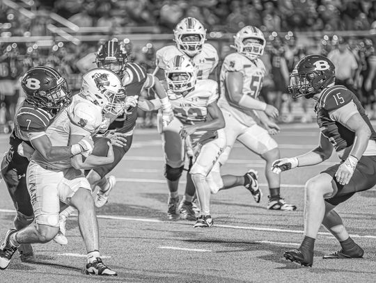 Bears claw through Knights 69-7, stay unbeaten