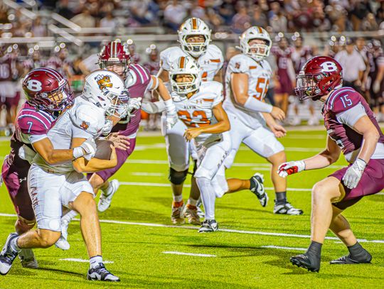 Bears claw through Knights 69-7, stay unbeaten