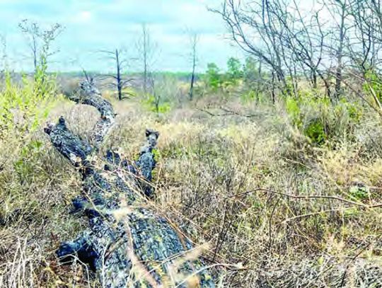 Burn ban expires after 97 days