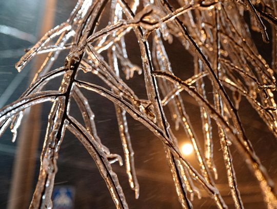 Elgin braces for extreme cold