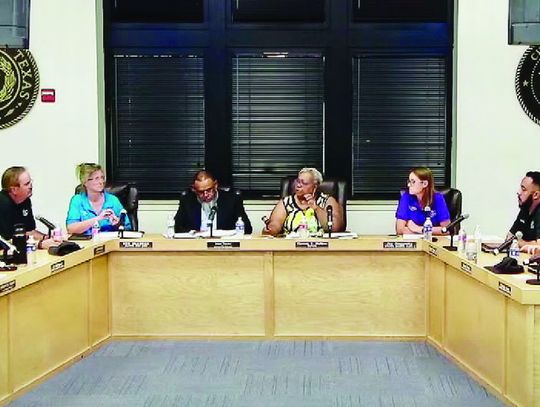 Elgin EDC director removed