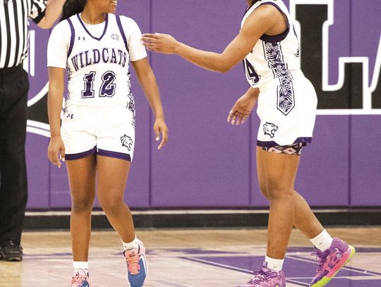 Elgin girls hoops named all-district