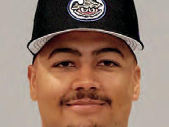 Elgin native shines in minor league play