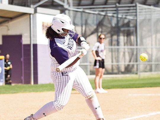 Elgin softball secures seven all-district spots