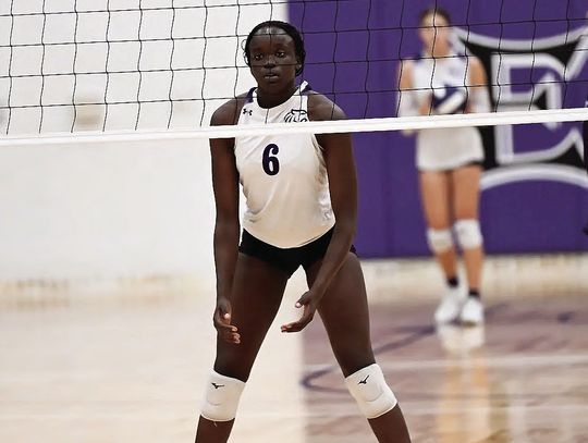 Elgin volleyball outpowered by Pflugerville
