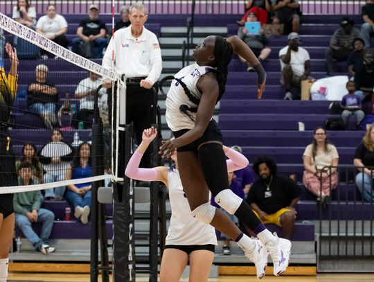 Elgin volleyball season recap