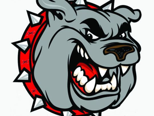 Lady Bulldogs knock off New Tech