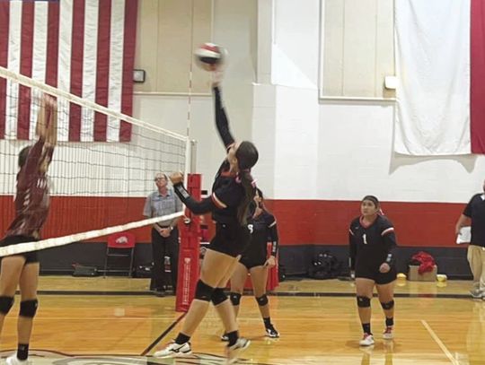 Lady Bulldogs VB drops two matches