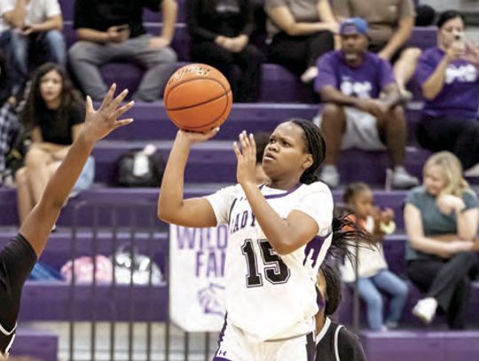Lady Cats build on streak