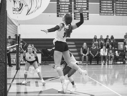 Lady Cats fall in straight sets to Panthers