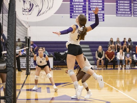 Lady Cats fall in straight sets to Panthers