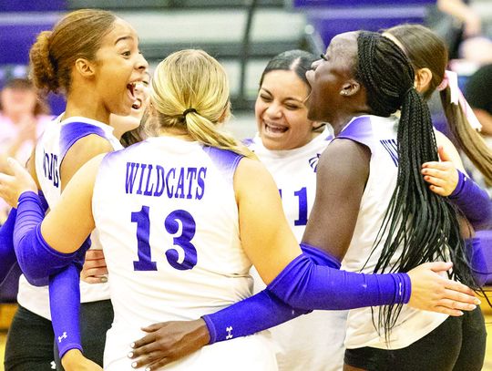 Lady Cats fall to Eagles, enter district play