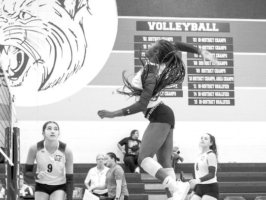 Lady Cats notch first district win since 2022