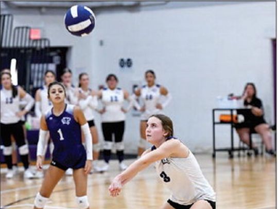 Lady Cats pick up third straight blowout