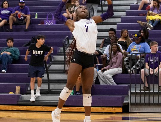 Lady Cats volleyball closes successful 5-2 week