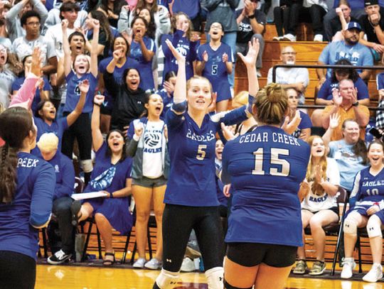 Lady Eagles VB in playoff position