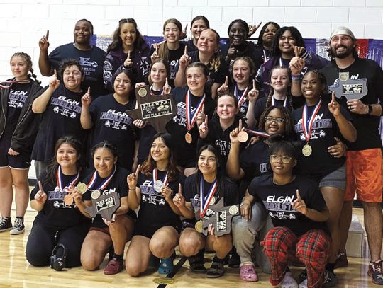 Lady Wildcats crowned regional champs