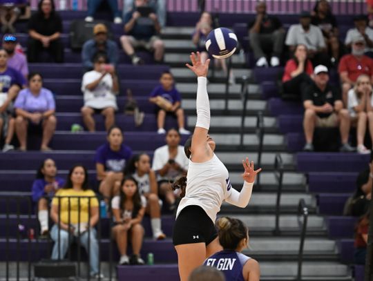 Lady Wildcats silenced by Georgetown