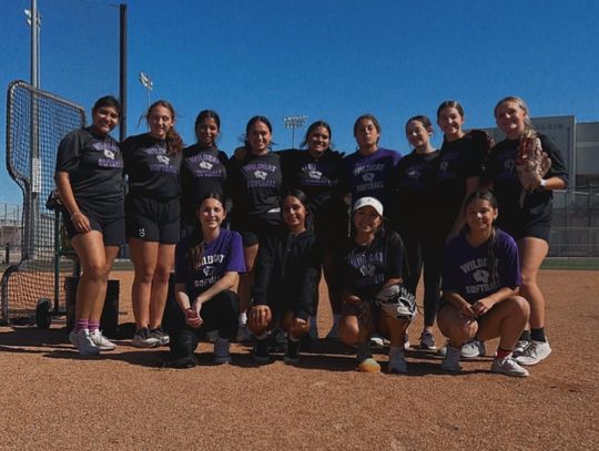 Lady Wildcats softball enters new era