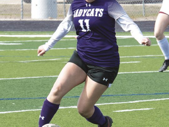 Lady Wildcats tame Lady Bears