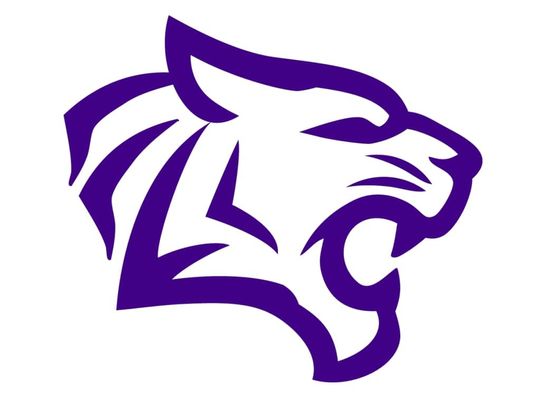 Elgin Lady Wildcats