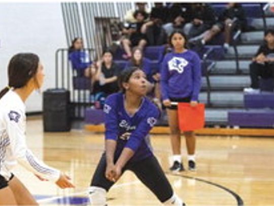 Lady Wildcats volleyball continues to play hard