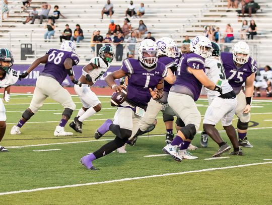 Elgin High School varsity football senior quarterback Nathen Lewis (1) scrambles for yardage Sept. 22, 2023, during the Wildcats’ dominant 50-28 victory at home over Pflugerville Connally High School. Photo by Erin Anderson