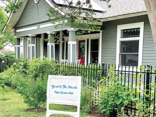 May’s Yard of the Month