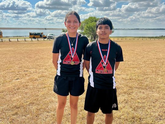 McDade sophomore makes regionals