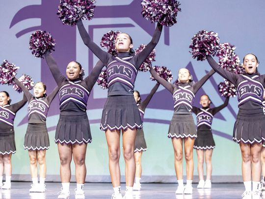 Meet the Wildcats