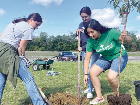 Memorial Park gets greener