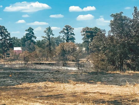 New blackland of Bastrop